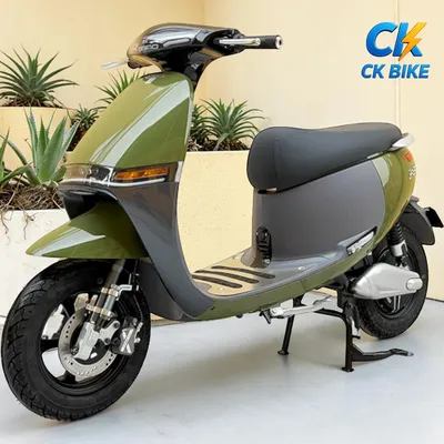 Dibao GoGo Crown góc 6