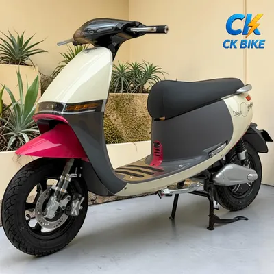 Dibao GoGo Crown góc 8