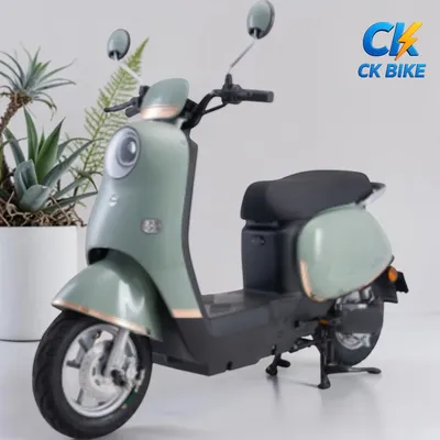 Dibao Rosa tại Xe Điện Công Khang Hải Phòng