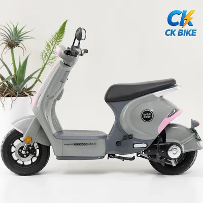 Espero Weezee Plus 3 tại Xe Điện Công Khang Hải Phòng