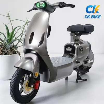 V1 Plus Lihaze tại Xe Điện Công Khang Hải Phòng